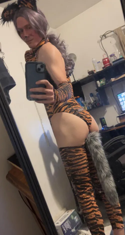 Thumbnail This Year's Tiger Costume Reveal by Altruistic_Ad_2443 | petplay