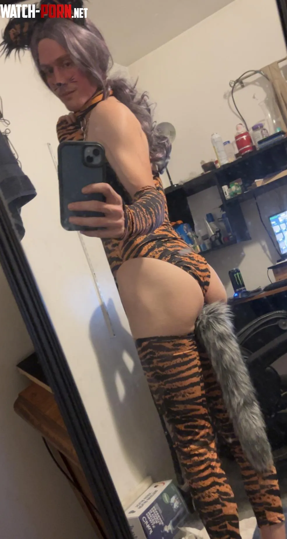 Tiger costume this year by Altruistic_Ad_2443