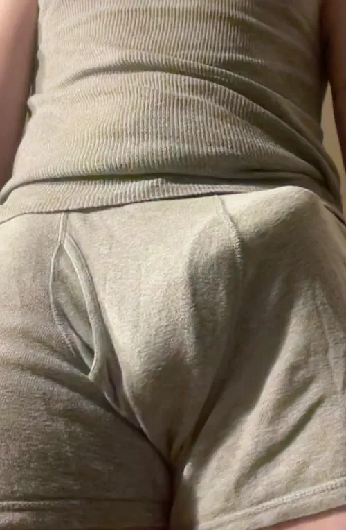 Thumbnail Soft and Comfortable: 33M's Perspective on Bulges in Regular Boxer Briefs