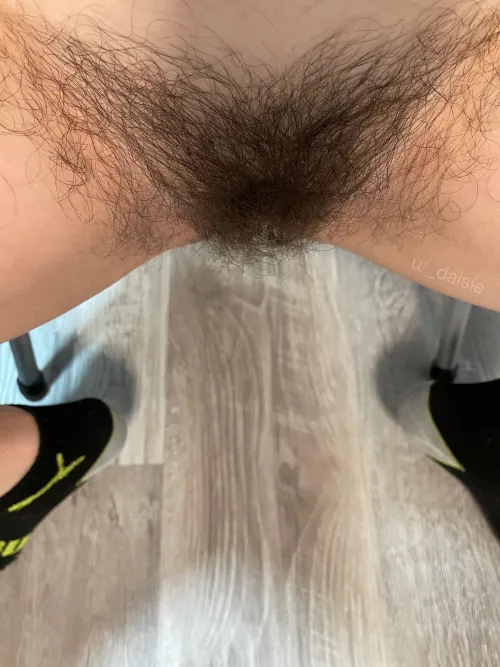 Thumbnail Hairy Debate: Too Much or Just Right? | _daisie of HairyPussy