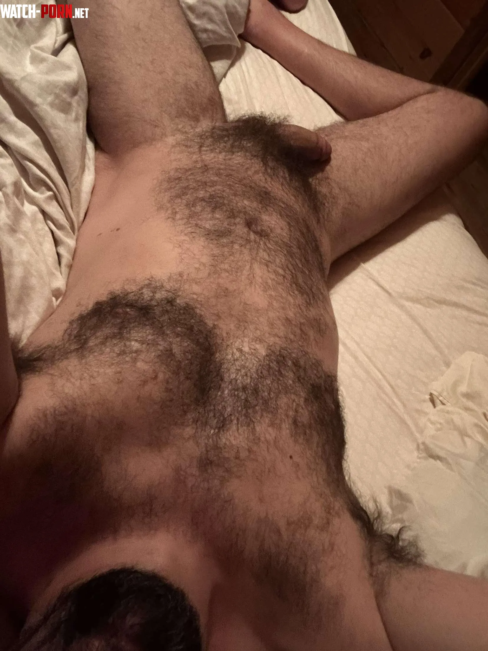 Not too insanely hairy but a good amount  by hairysoutherner