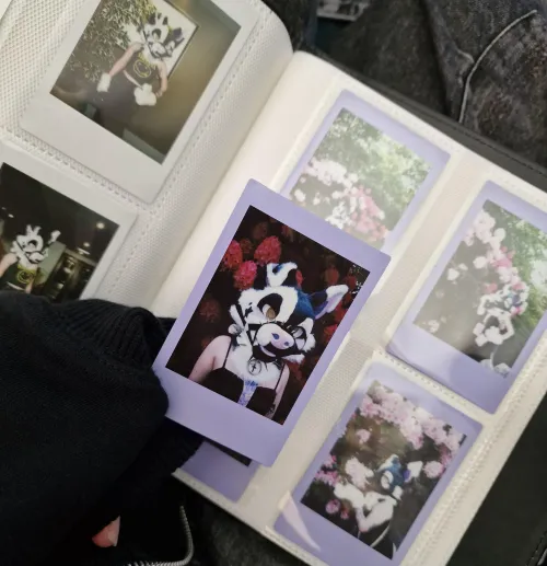 Thumbnail Furry Fursuits Galore: A Peek into Baileystarpup's Polaroid Album