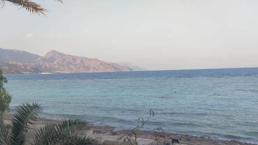 Thumbnail Experience Dahab Beach: Paradise Awaits!