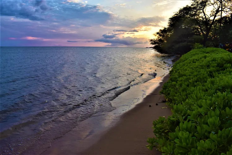 Thumbnail Witness a Stunning Small Beach Sunset - Unforgettable!