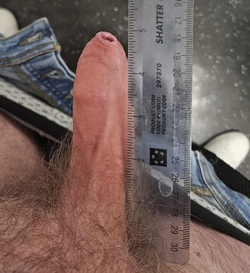 Thumbnail Uncut and Fully Erect: 5 Inches | PhimoHusband