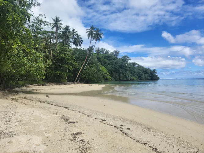 Thumbnail Beach Woes: Had to mind the falling coconuts by Homerlikesdonuts