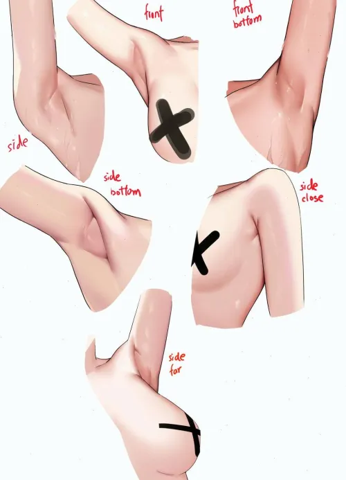 Thumbnail Exploring Armpit Anatomy by littighot | AnimeArmpits