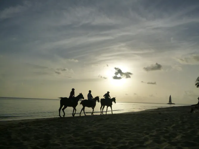 Thumbnail Paradise Found: Exploring Paynes Bay Barbados | AGuyinGA37