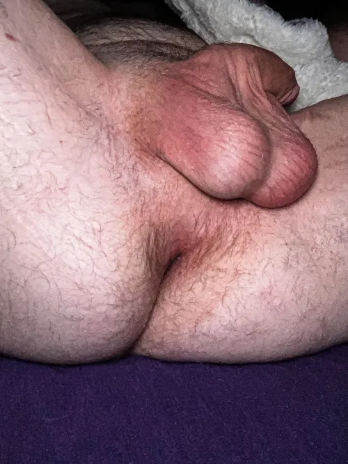 Thumbnail Detailed Examination: Hairybuttlover and 'Full Balls 25'