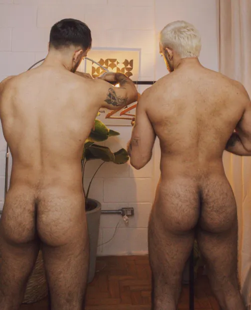 Thumbnail South-Resolution5154 Unveils: 'Hairy Butts of Twin Brothers'