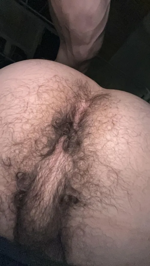 Thumbnail Happy Hump Day: Exploring Hairy Hole Fantasies by southernstud88