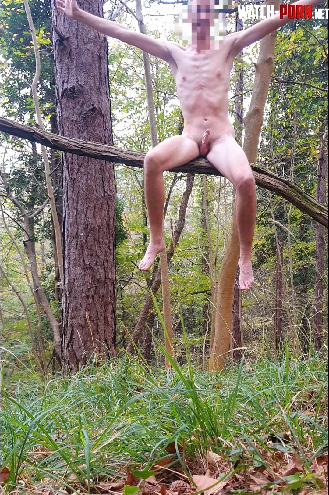 30M naked in woods  by Immediate_Cut_42