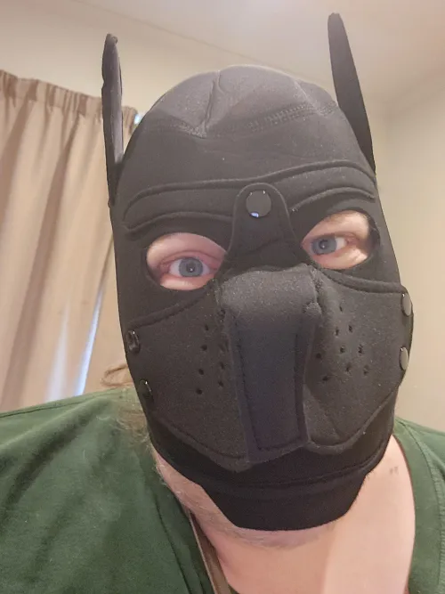 Thumbnail Discovering a New Pup Mask in the World of Petplay by PhoenixBratKat