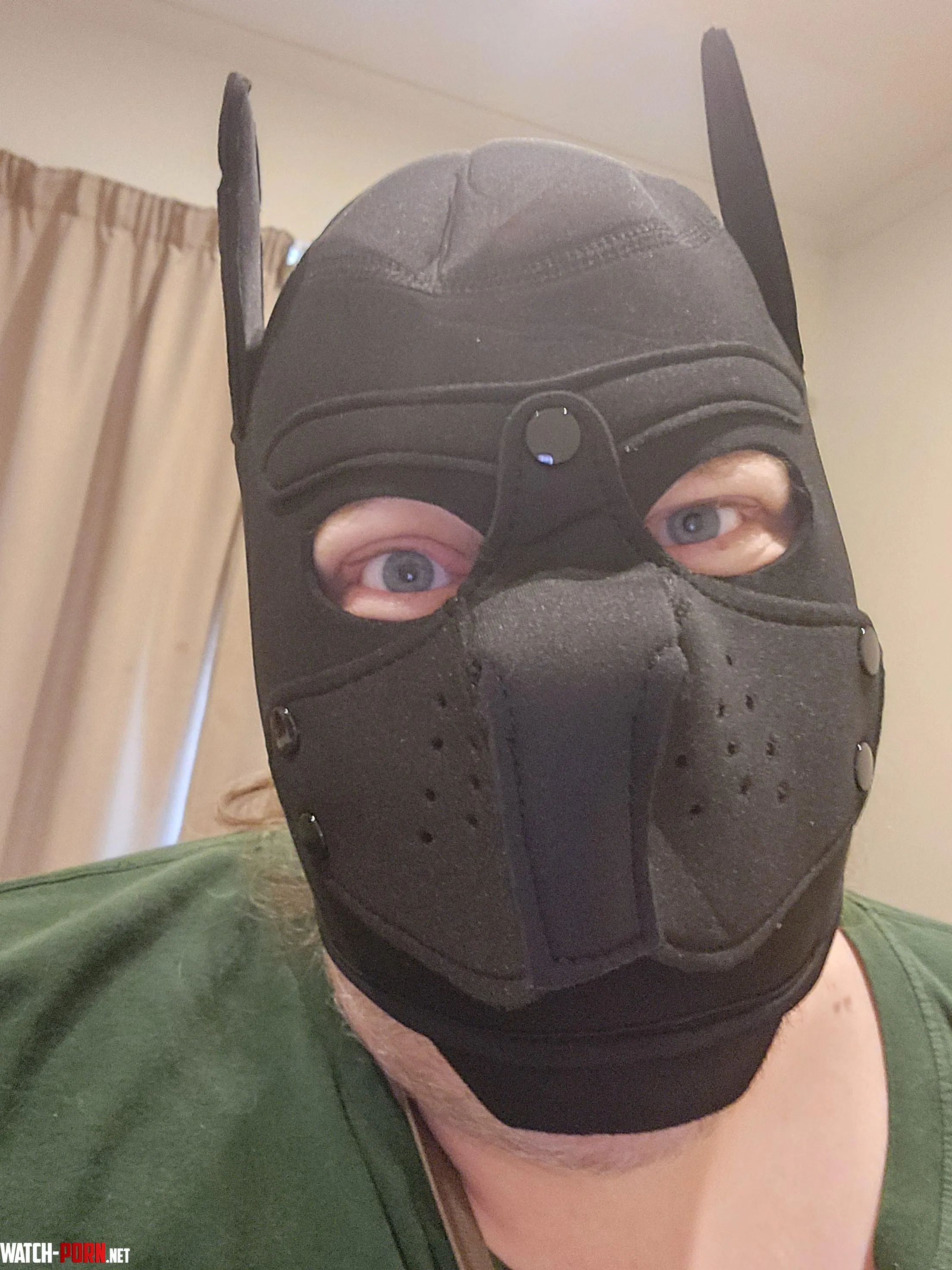 Got a new pup mask  by PhoenixBratKat