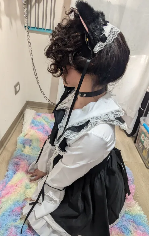 Thumbnail Maid Vibes - nekolittle4286 | femboy