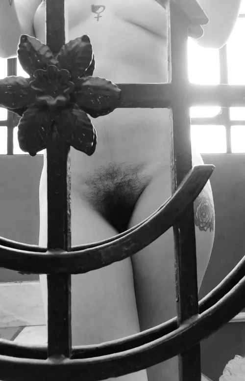 Thumbnail Missdominayei's Hairy Tale: Artistic Hairy P*ssy