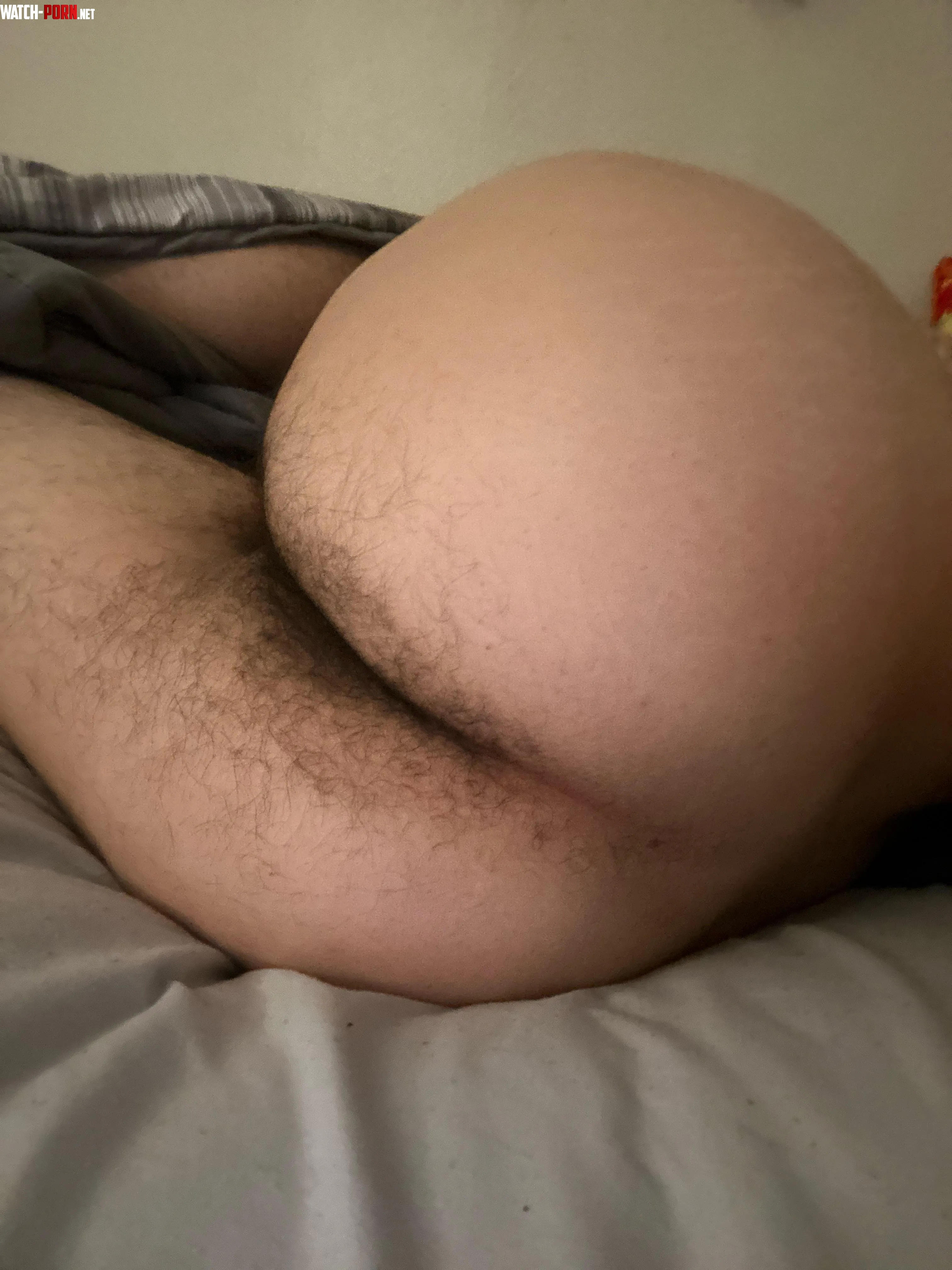 Yall like my hairy 22 yr old ass  by guyjustbored10