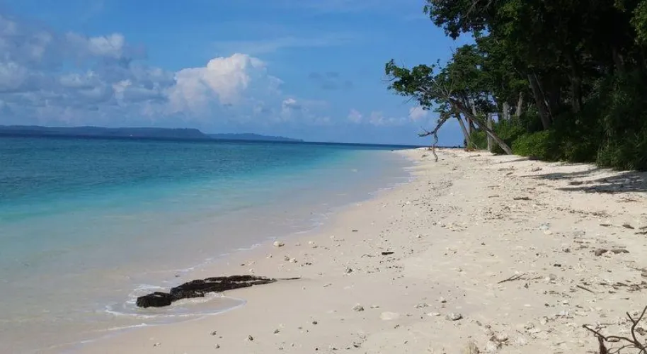 Thumbnail Laxmanpur Beach, Neil Island India: A Hidden Gem | Stock-Olive