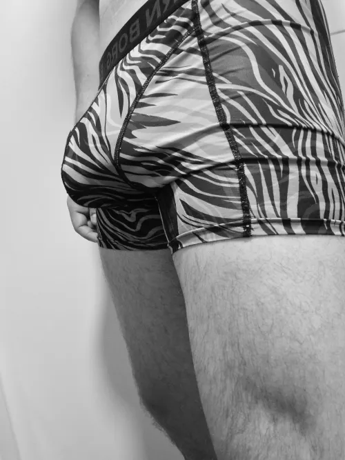 Thumbnail Exploring Animalistic Allure with Impressive-surprise_ in Bulges