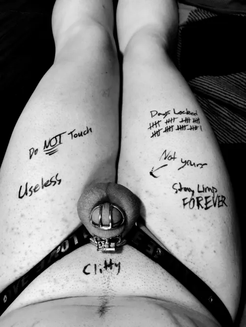 Thumbnail 41 Days of Transformation: Journey with DaddySkitty177013 in SissyChastity