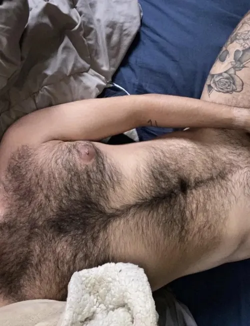 Thumbnail A Little Hairy Delight: Journey into Insanely Hairy Men with blisssd11