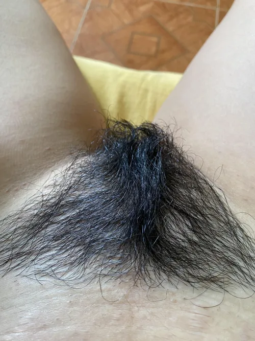 Thumbnail Discover 'Its so dark it shines' by venuscancer12 in the Hairy Category