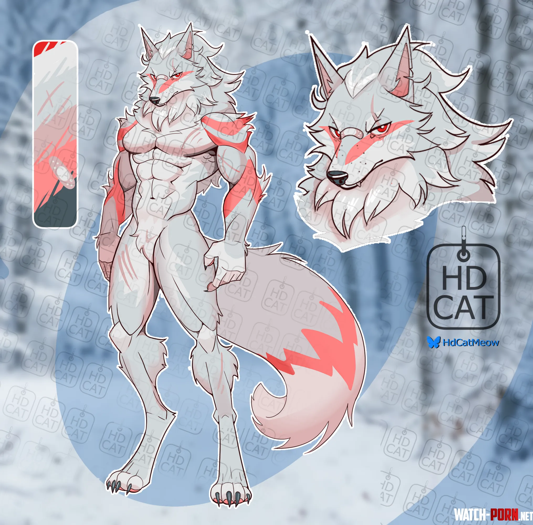 Winter wolf adopt for 35 usd gt3 by CDfelinus