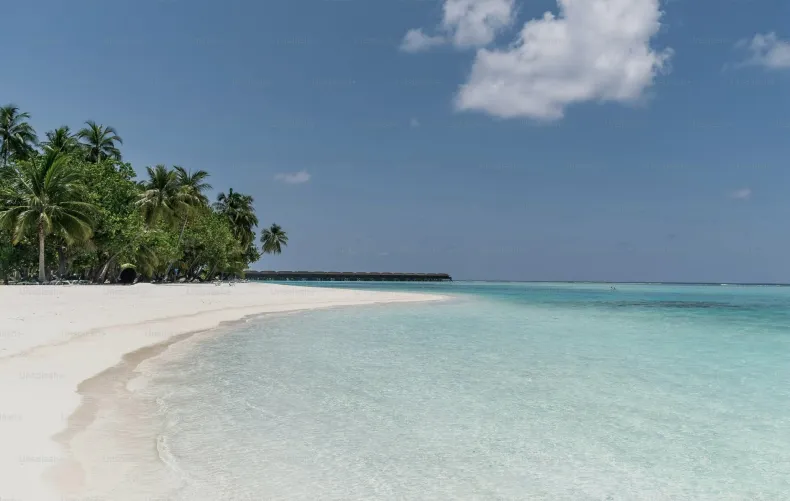 Thumbnail Discovering Crystal Clear Waters on a Jamaican Beach