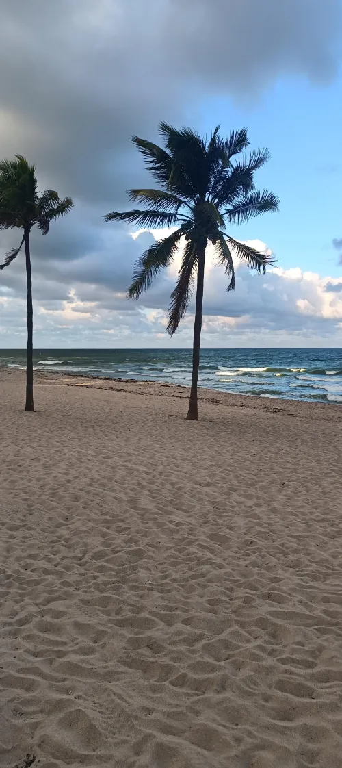 Thumbnail Fort Lauderdale's Las Olas Beach: A Beach Experience | Mr_8_strong | beach