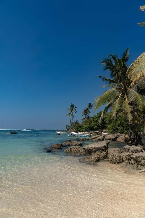 Thumbnail Tranquility Beckons at Polhena Beach, Sri Lanka | Author: FluffyAd9011