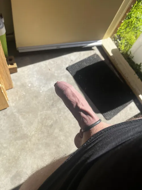 Thumbnail Nice or Not? Judge a Cock in Foreskin by Entire-Ad4369