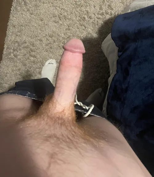 Thumbnail Inquisitive Request for Rating - WesternRole3022 | ratemycock