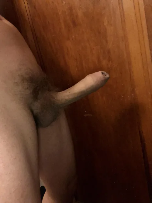 Thumbnail Exhibitionist Alert! Mr_Nice_Guy_xxx Shows off Uncut American Cock