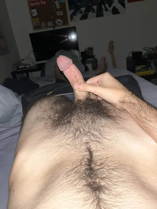 Thumbnail havanawarhol's Dilemma: Got Called Small Today, Is It? - ratemycock