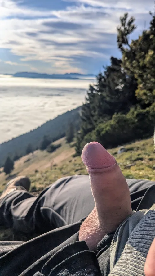 Thumbnail Catching Some Sun at 28 by Pocajointas: Penis Sunbathing