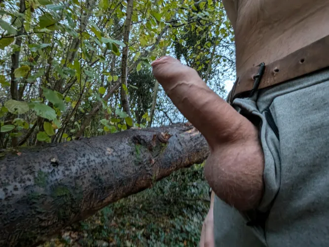 Thumbnail Unveiling Intrigue in 'A Log Next to a Log 35' by prosenl1