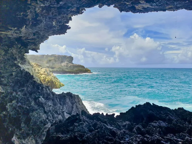 Thumbnail Exploring Animal Flower Cave in Barbados - A Beach Lover's Guide | Bigfatstripeycat