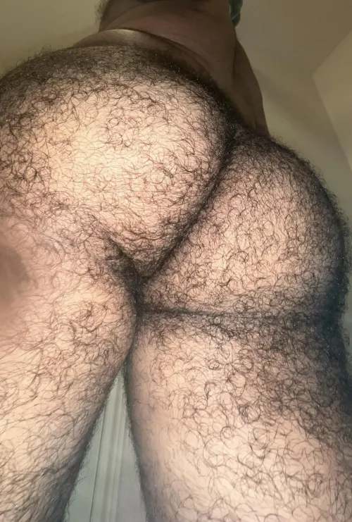 Thumbnail Get Ready to Explore 'Any Room for Hairy Ass' with puurr43ct