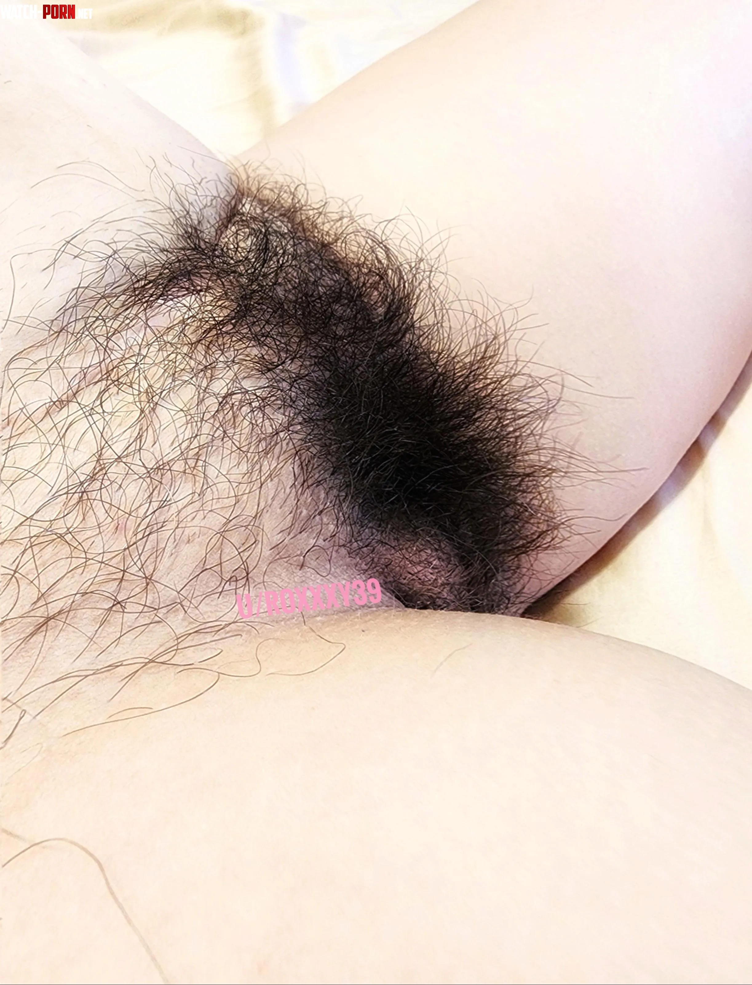 Heres mommys pussy without shaving for a couple of months f43  by roxxxy39