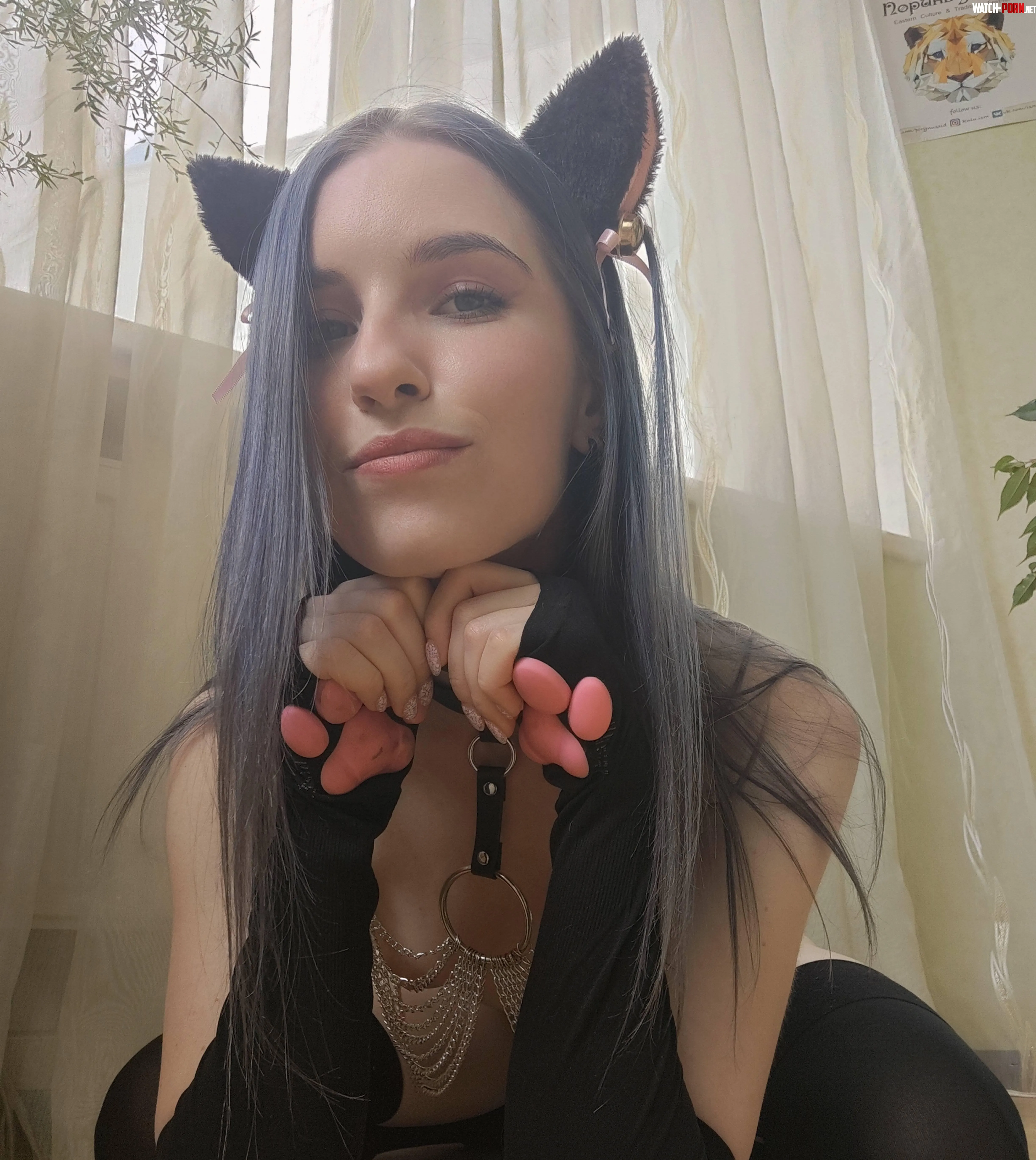 your sweet kitten will behave obediently by hailey_cute