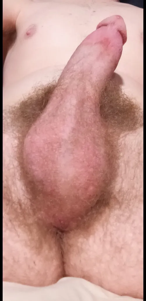 Thumbnail Glimpse into Hairy Nuts 19: Daddylovesu1's Experience