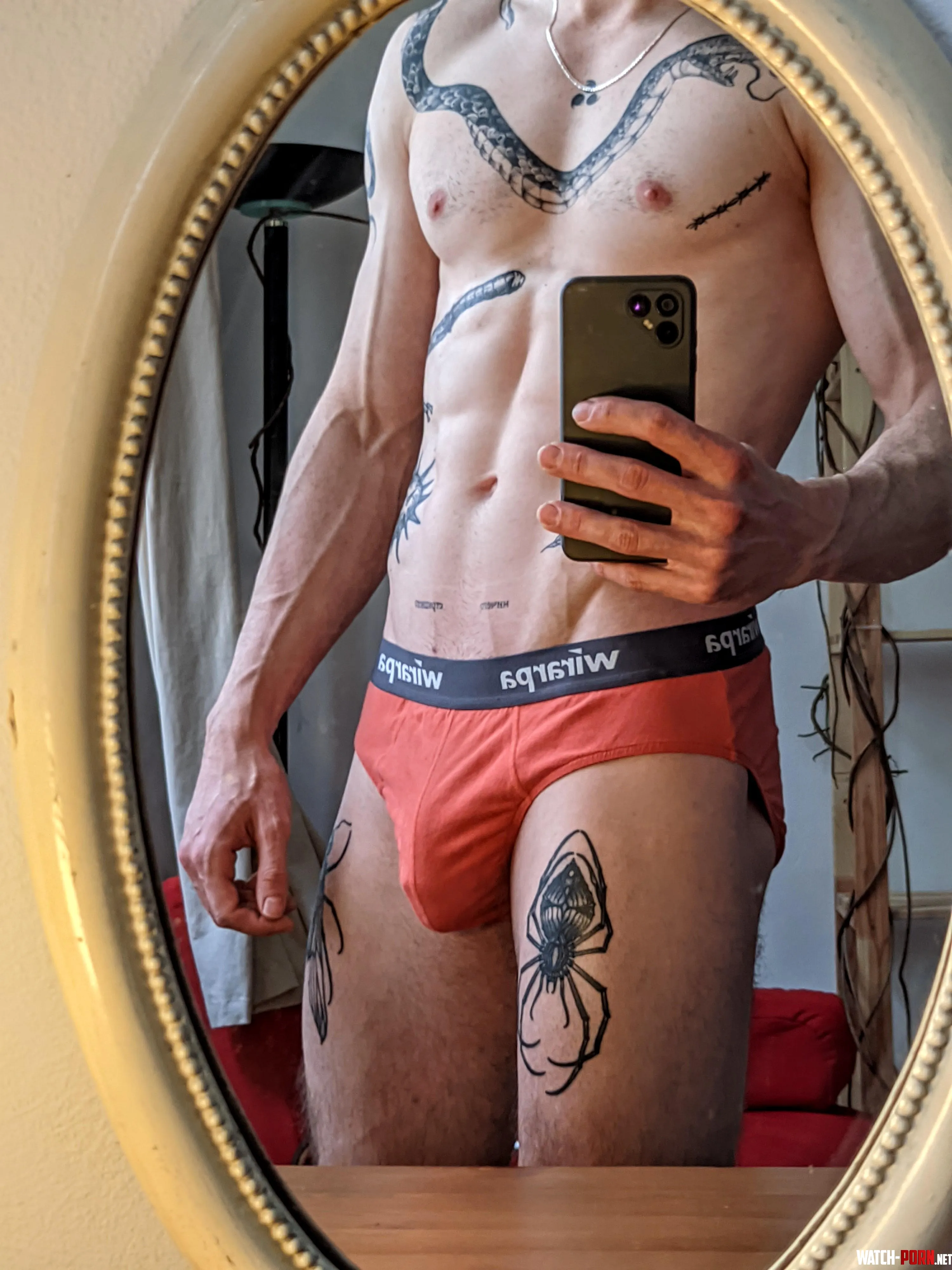 Soft bulge in briefs approved by bookehuck