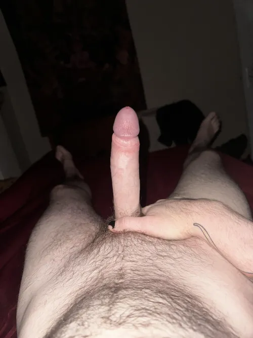 Thumbnail What Do You Honestly Think? - Candid Thoughts by Ok_Jacket_5957 in ratemycock Category