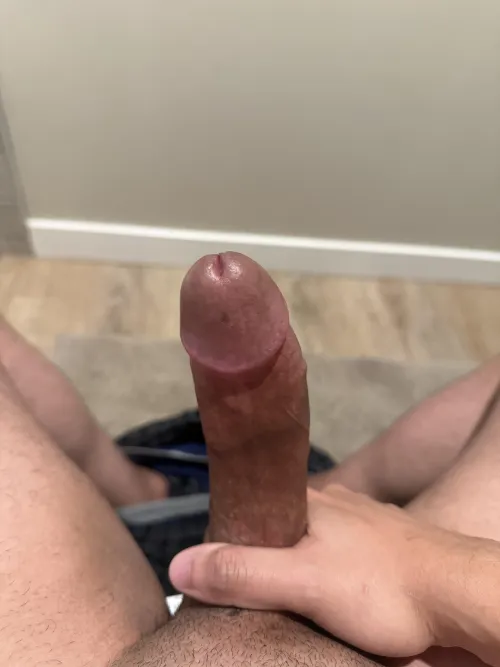 Thumbnail Morning Wood in Need of Care | Juellius