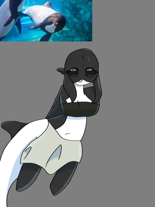 Thumbnail Careful-Bug5665's Creature Feature: Commersons Dolphin - MonsterGirl