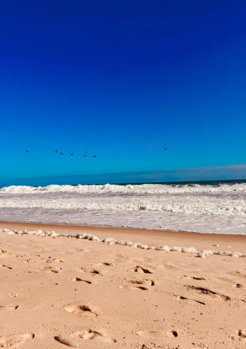 Thumbnail Coastal Charm: Barra de Tijuca, Rio de Janeiro