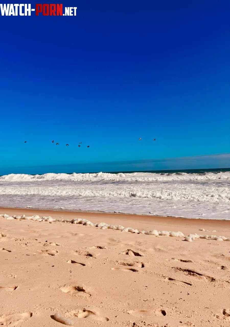 Barra de Tijuca Ro de Janeiro by camiluus