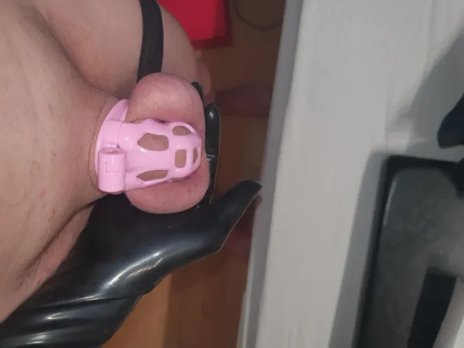 Thumbnail Dive into Echolucifer's World of 'Forever Locked' - A SissyChastity Tale