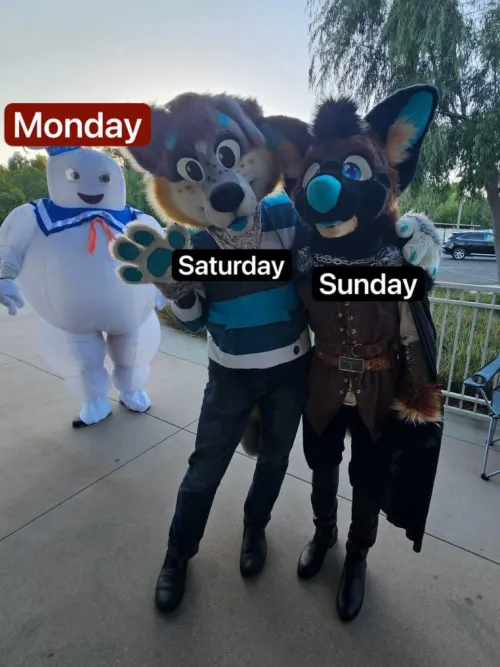 Thumbnail Smaug54's Weekend Adventure Captured: 'Weekends Be Like' - Furry Lifestyle