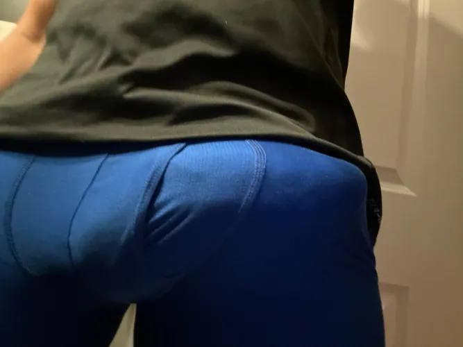 Thumbnail Snug 40 - bgee202000 | Bulges